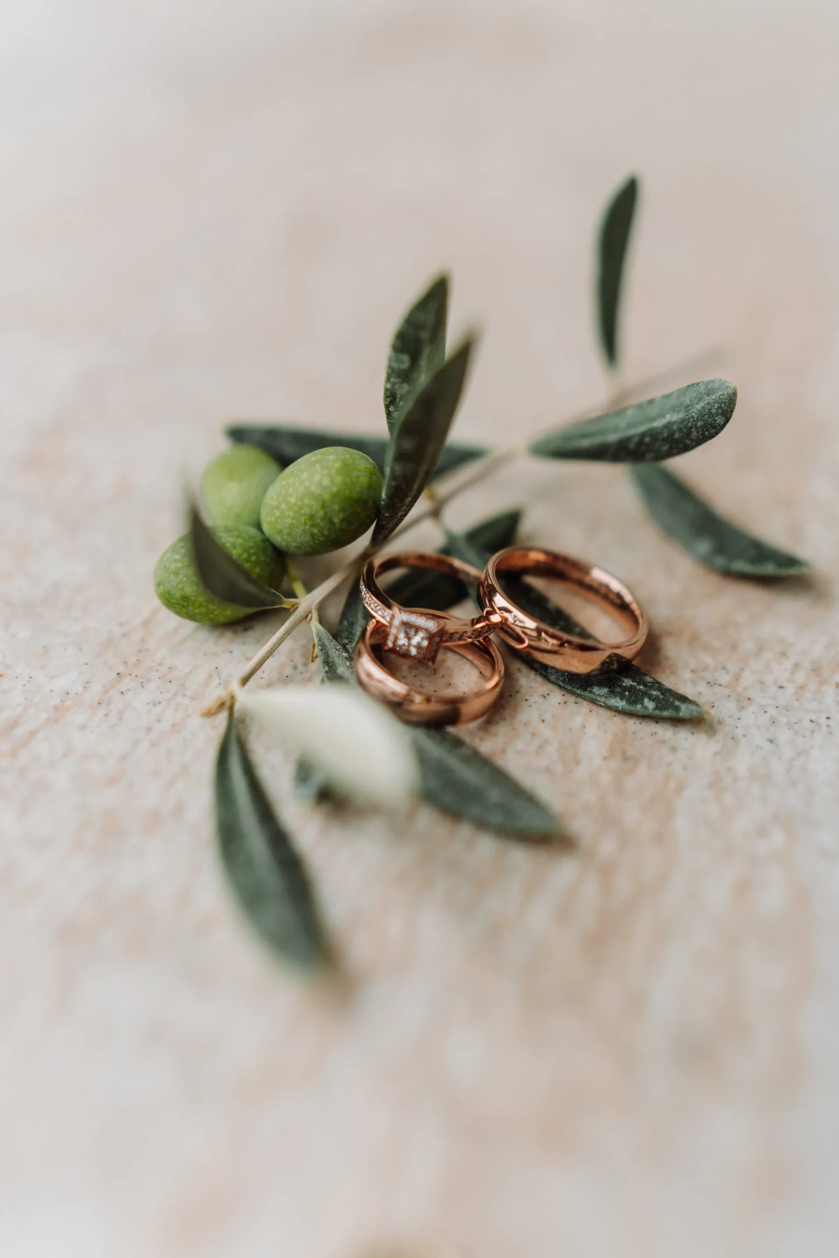 destination wedding fotografin italien toscana gardasee 26